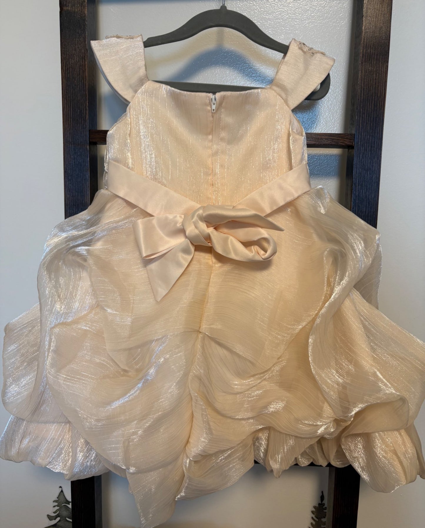 3T Toddler Girl Champagne Coloured Dress , Kids 3T