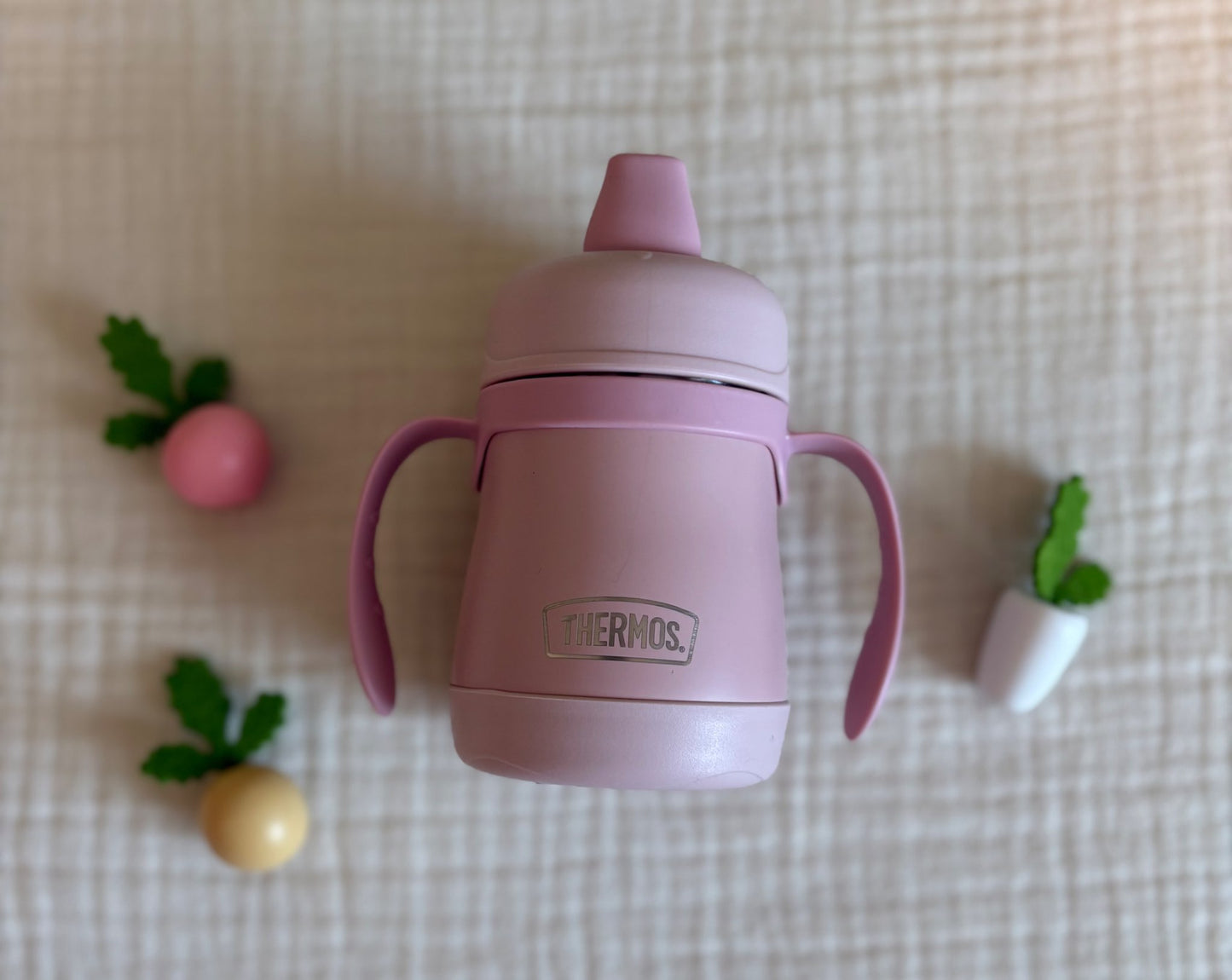 Thermos 7 Ounce Insulated Sippy Cups with Handles (Purchase Price $20)