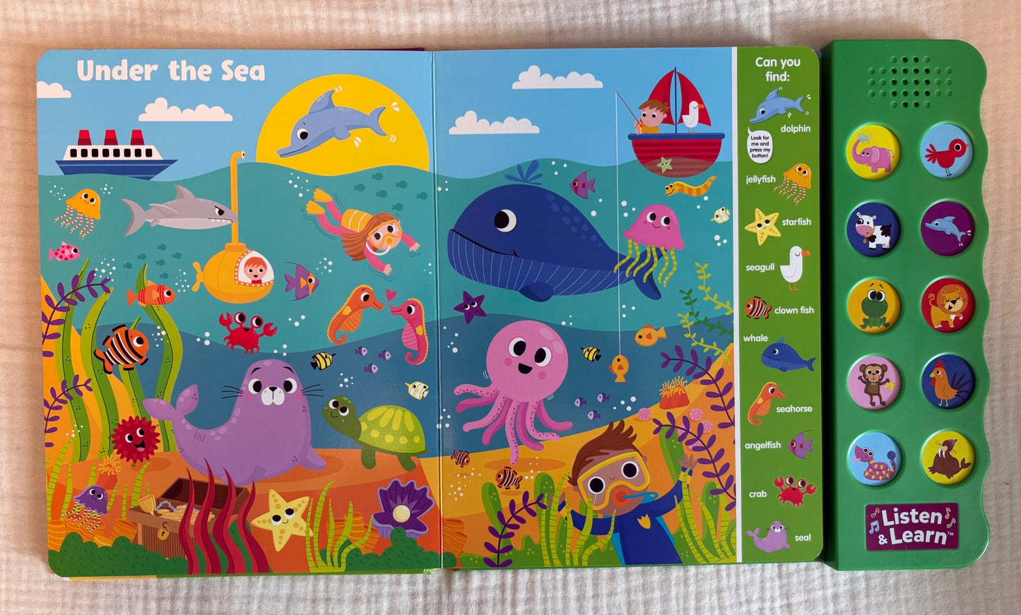 Search & Find Books (x2) with Sound Buttons (Purchase Price: $18 each book)