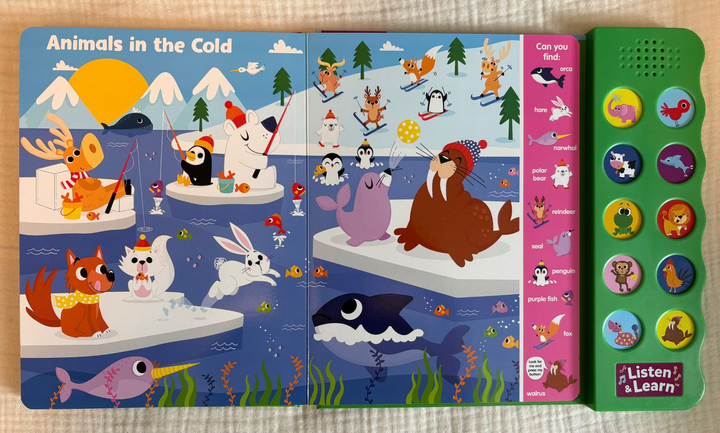 Search & Find Books (x2) with Sound Buttons (Purchase Price: $18 each book)