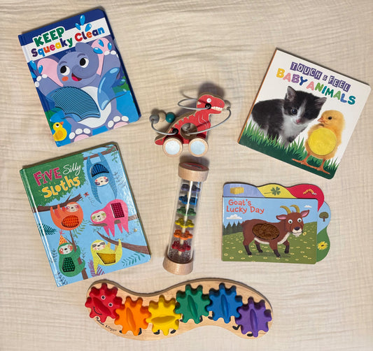 Baby/Toddler "Sights & Sounds" Books & Toys Bundle