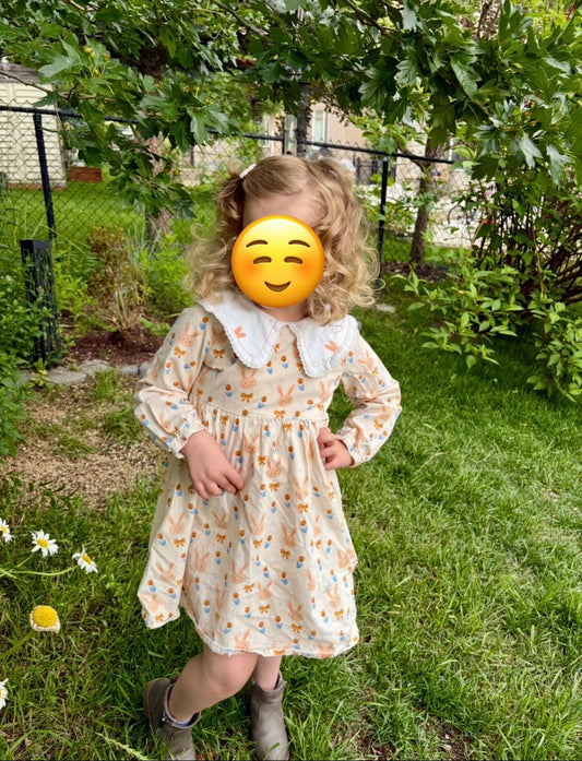 4T Toddler Girls Spring Bunny Dress , Kids 4/4T