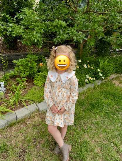 4T Toddler Girls Spring Bunny Dress , Kids 4/4T