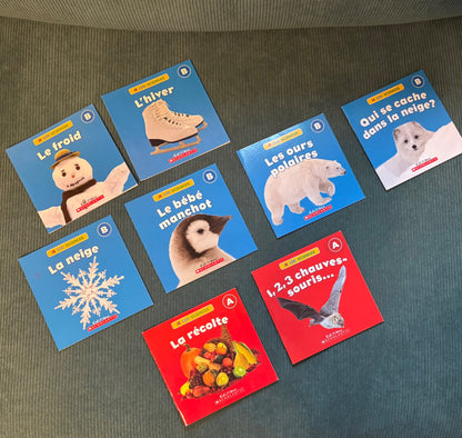 French Preschooler/Kindergartener/Early Reader Books (30 BOOKS)