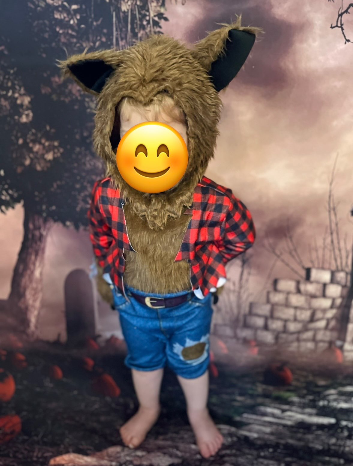 Rubie's Werewolf Costume 6-12 Months (Purchase Price: $65) , Kids 12 Month (9-12M)