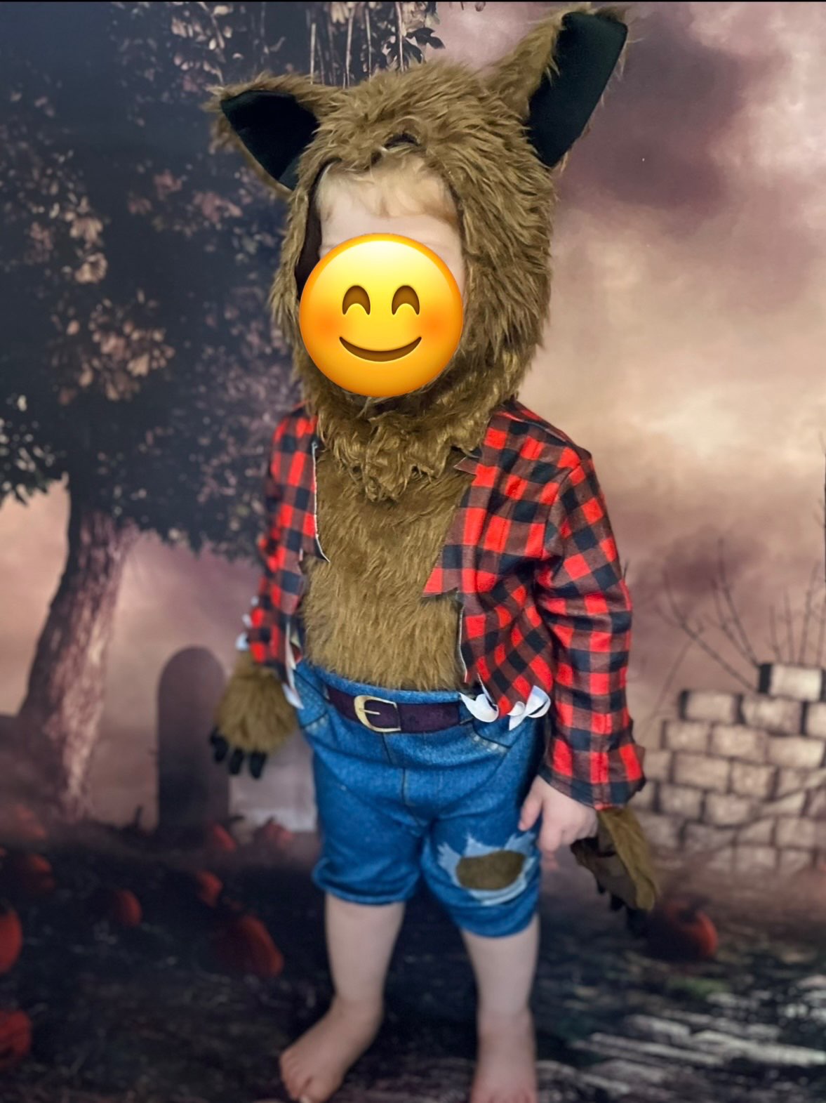 Rubie's Werewolf Costume 6-12 Months (Purchase Price: $65) , Kids 12 Month (9-12M)