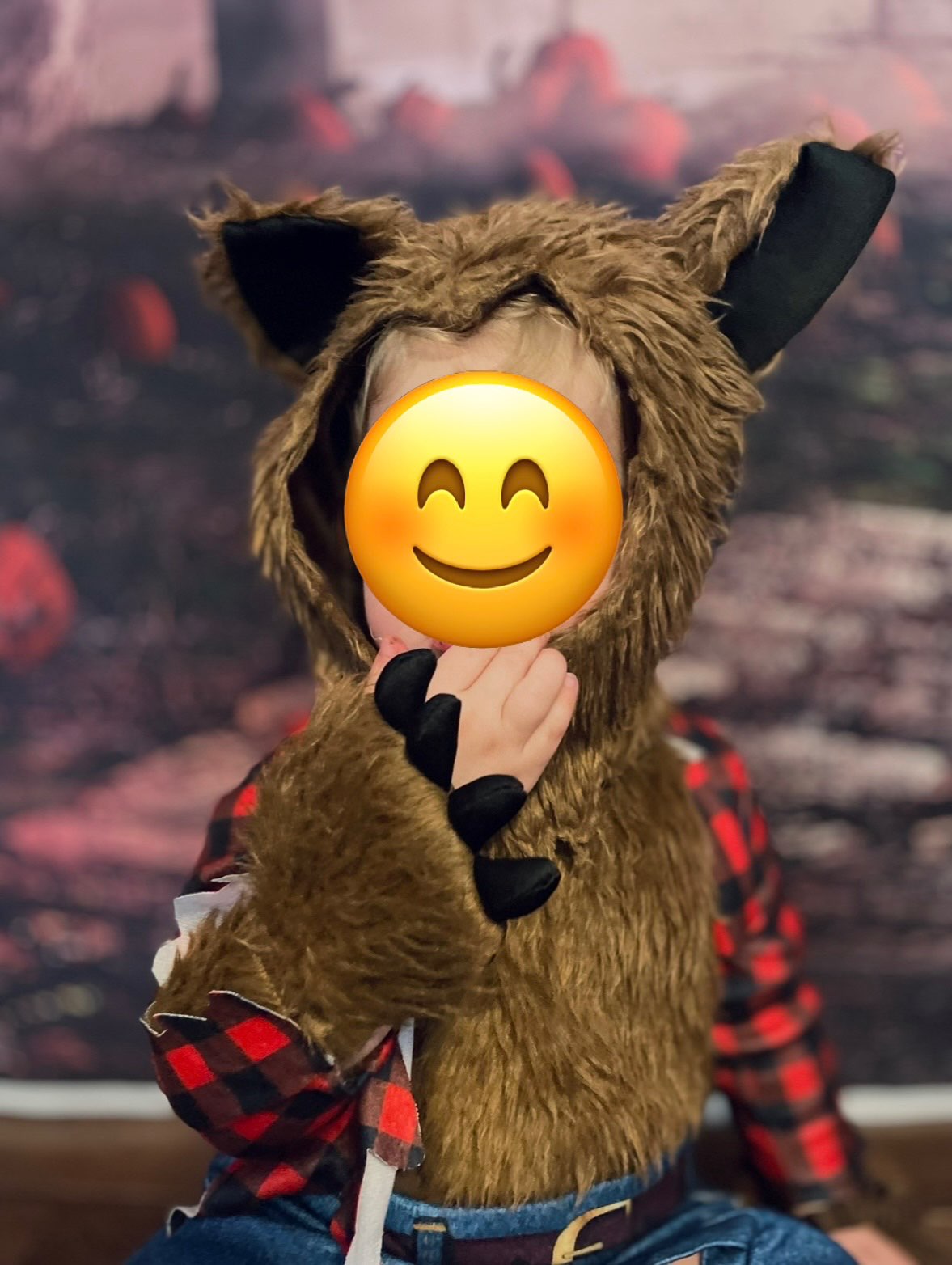 Rubie's Werewolf Costume 6-12 Months (Purchase Price: $65) , Kids 12 Month (9-12M)
