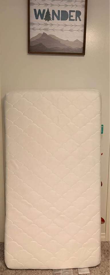 Newton Baby/Toddler Mattress AND waterproof Mattress Protector (Purchase Price: $656 directly from Newton)