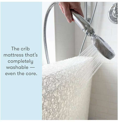 Newton Baby/Toddler Mattress AND waterproof Mattress Protector (Purchase Price: $656 directly from Newton)