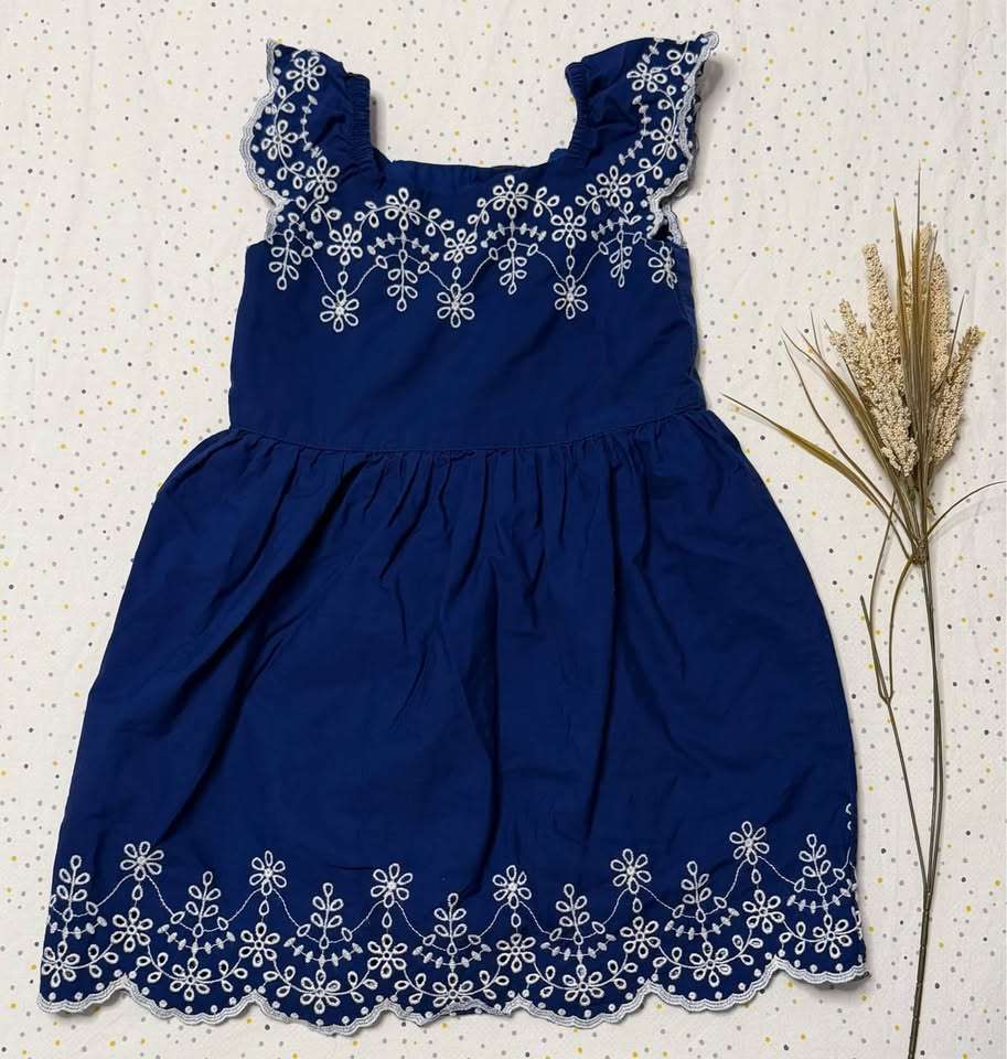 Gymboree 5T Toddler Girl Dress (Purchase Price: $68), Kids 5/5T
