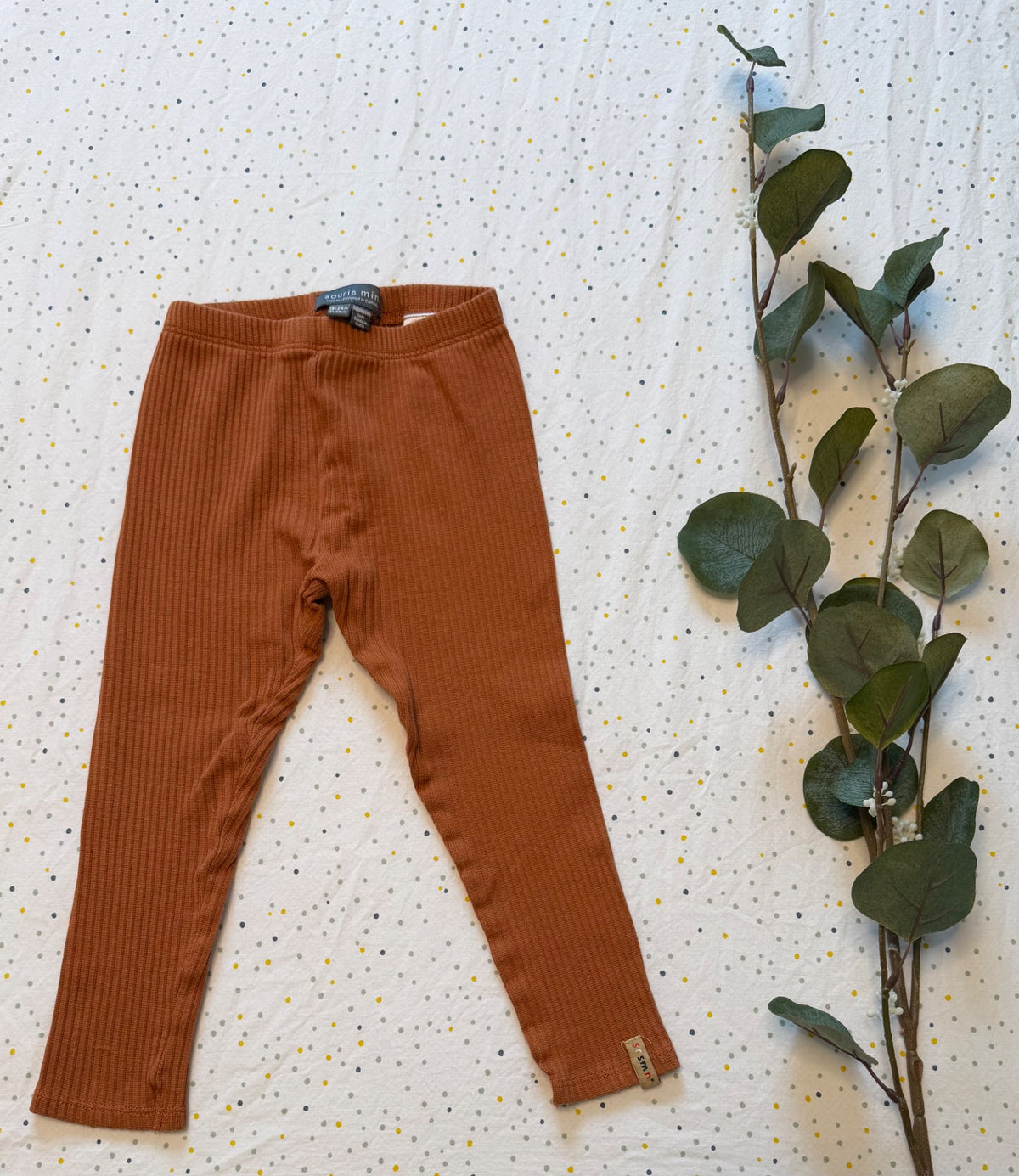Souris Mini 18-24 Months Unisex Brown Ripped Pull-on Pants , Kids 24 Month (18-24M)