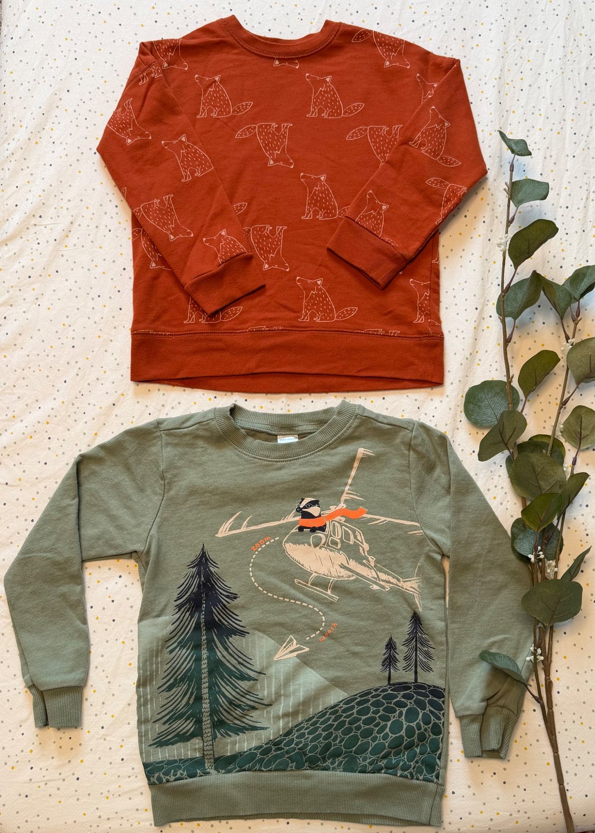Toddler Boys 4/5T Wilderness Themed Pullover Sweatshirts (x2) , Kids 4/4T