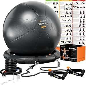 Pregnancy Ball - with Stability Base, Resistance Bands, Workout Poster, Pump RETAIL 50