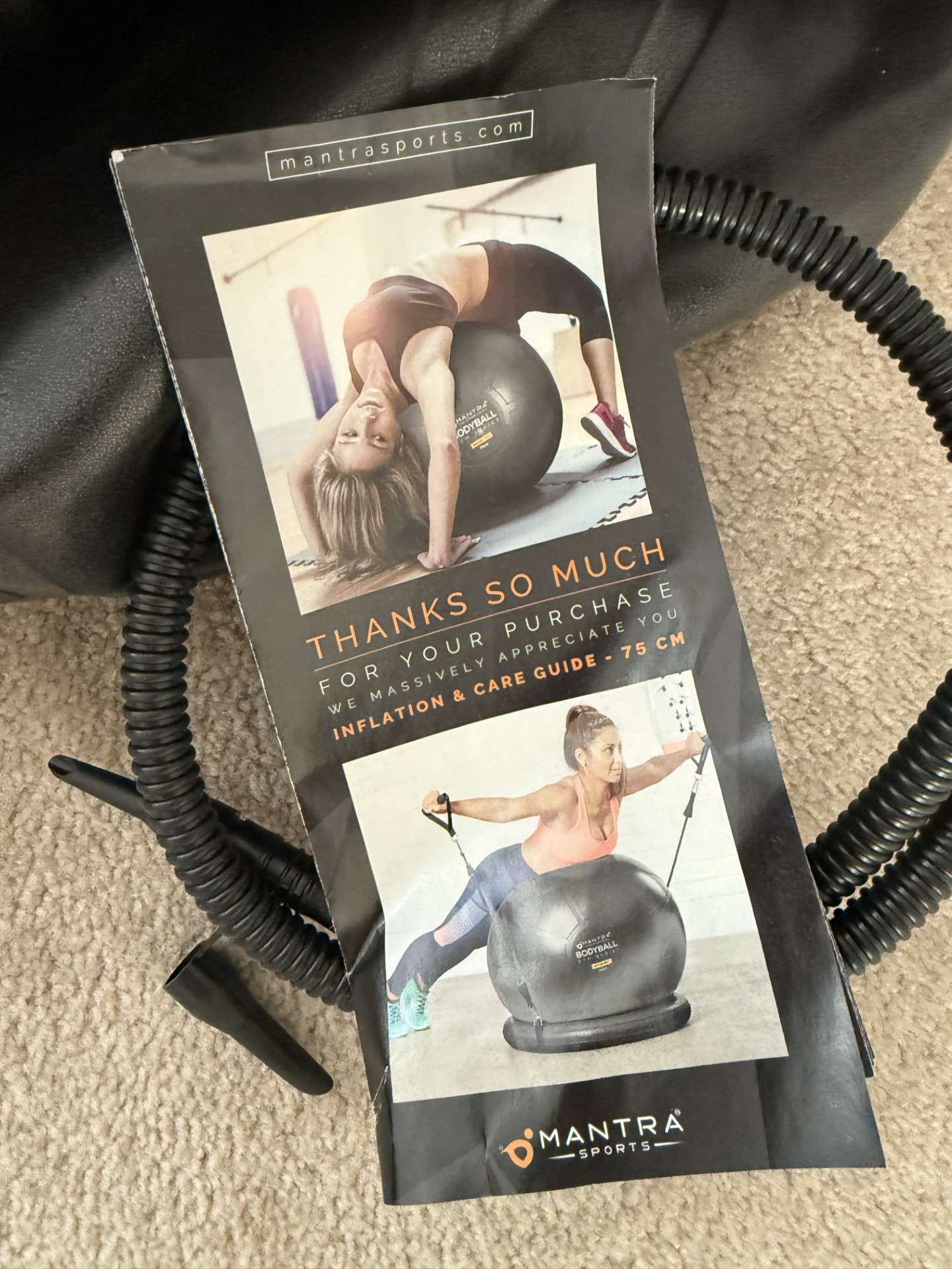Pregnancy Ball - with Stability Base, Resistance Bands, Workout Poster, Pump RETAIL 50