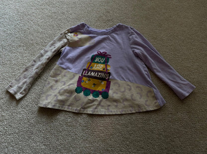 Girls long sleeved shirt bundle size 4, Kids 4/4T