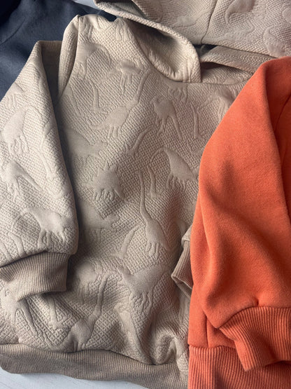 Cozy hoodies 4T, Kids 4/4T