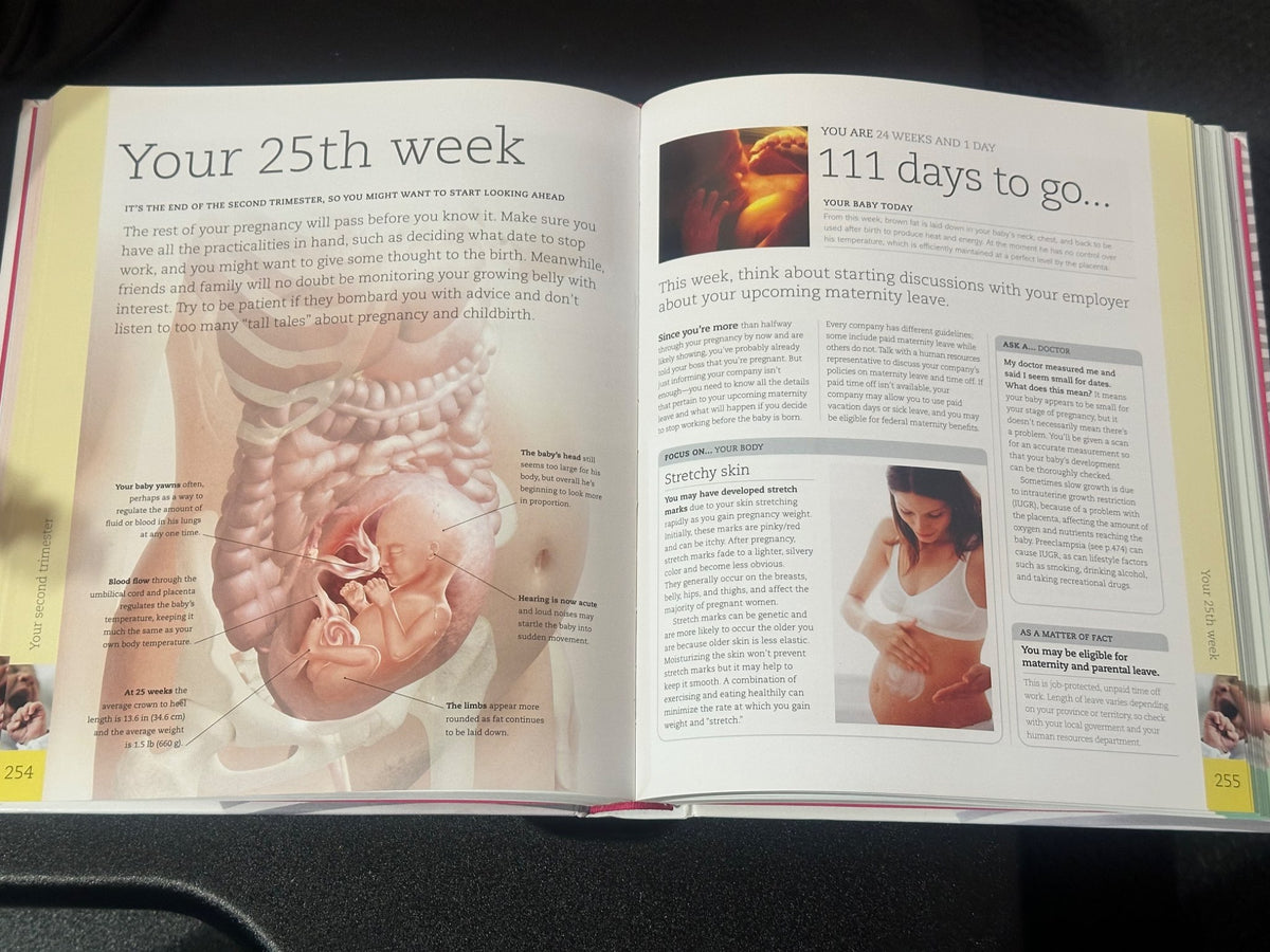Pregnancy Day By Day