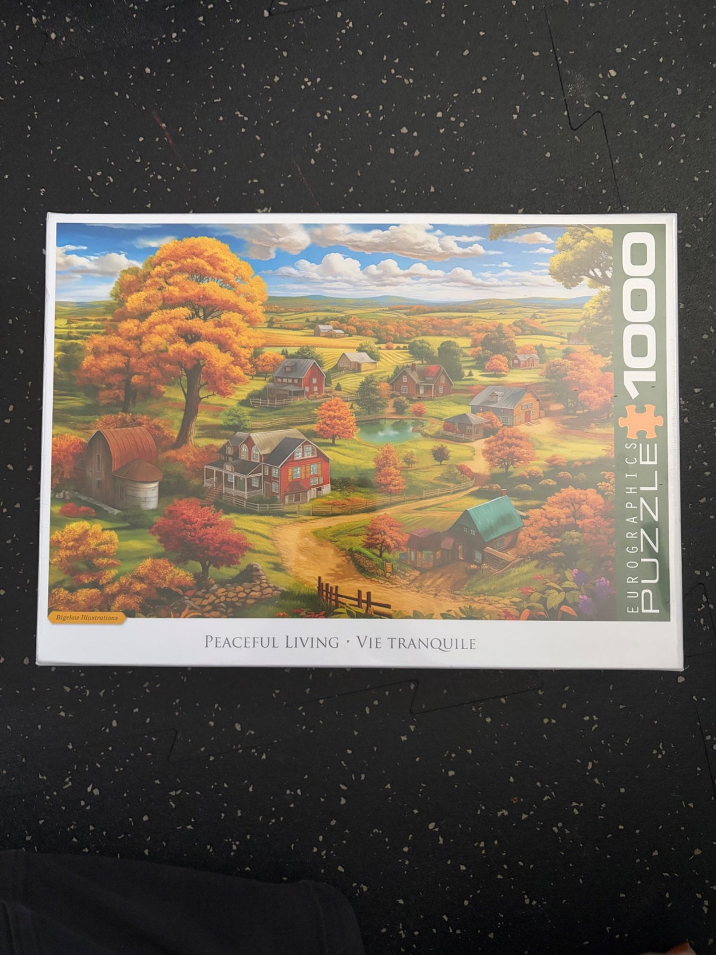 1000 piece puzzle brand new