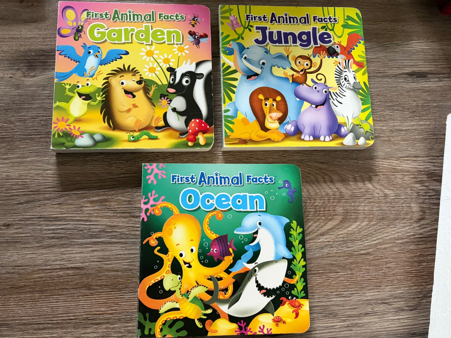 First Animal Facts board books