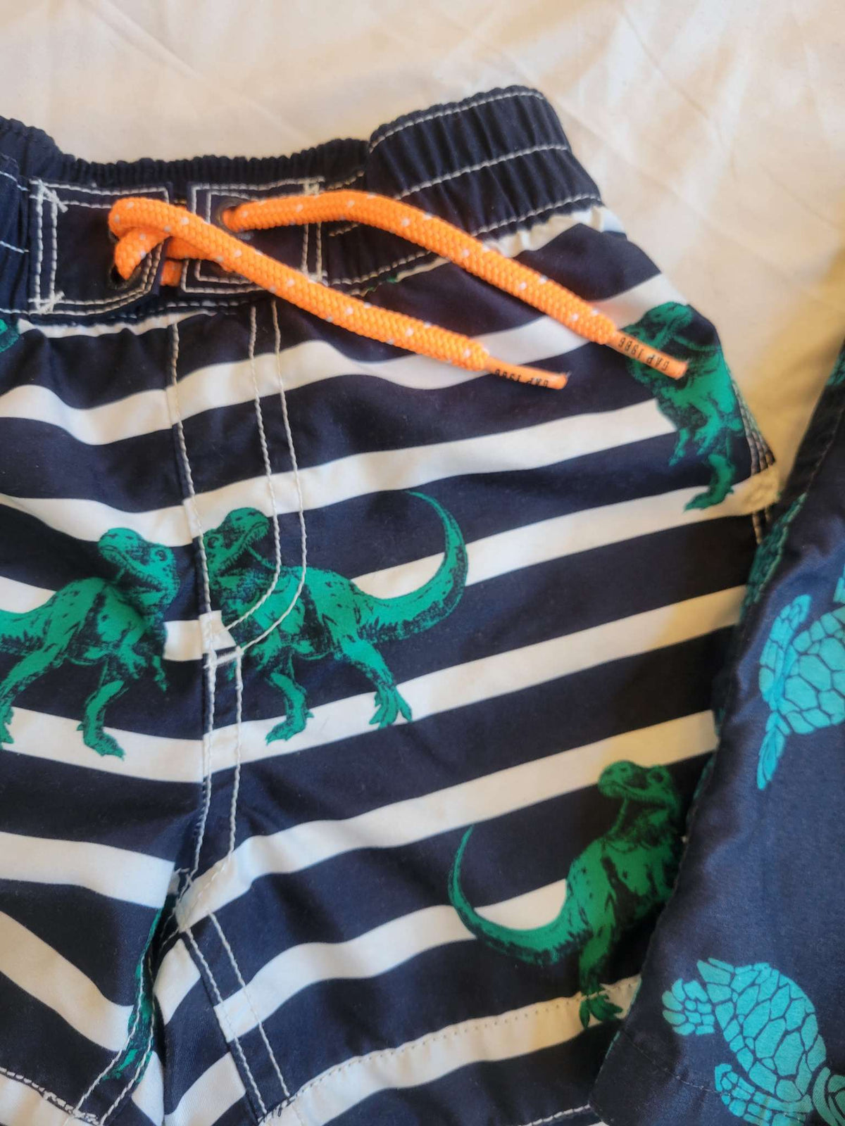 Swim Shorts -  Dinos & Turtles  (24 Month / 2T), Kids 24 Month (18-24M)