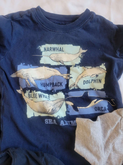 4 Shirts  - Black Moon, Blue Whales, Blue Dinos, Gray Triceratops - 3T, Kids 3T