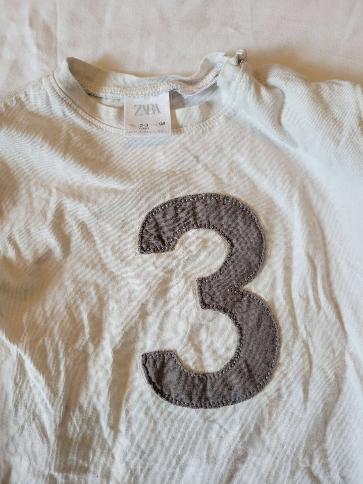 2 Zara Long Sleeves - "#3" Shirt and Rust Colour  - size 2/3 , Kids 2T
