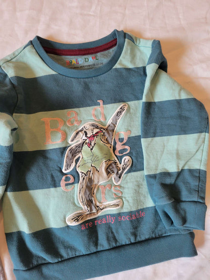 3 Long Sleeves - Blue Giraffe (Interactive), Dog Astronaut and Blue Striped Sweatshirt (Size 2/3) , Kids 2T