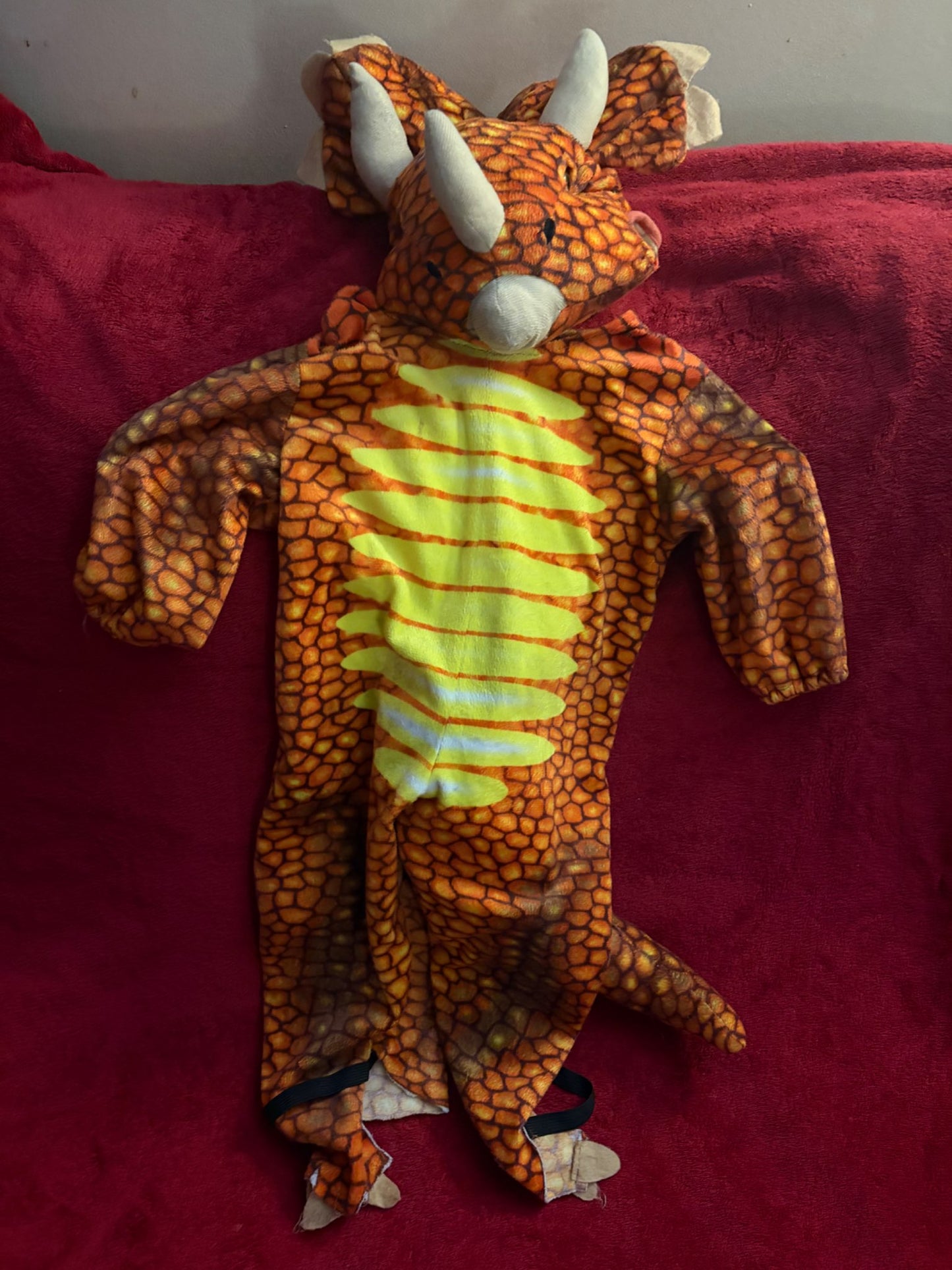 Triceratops Costume - Head and Body - 18-24m, Kids 24 Month (18-24M)