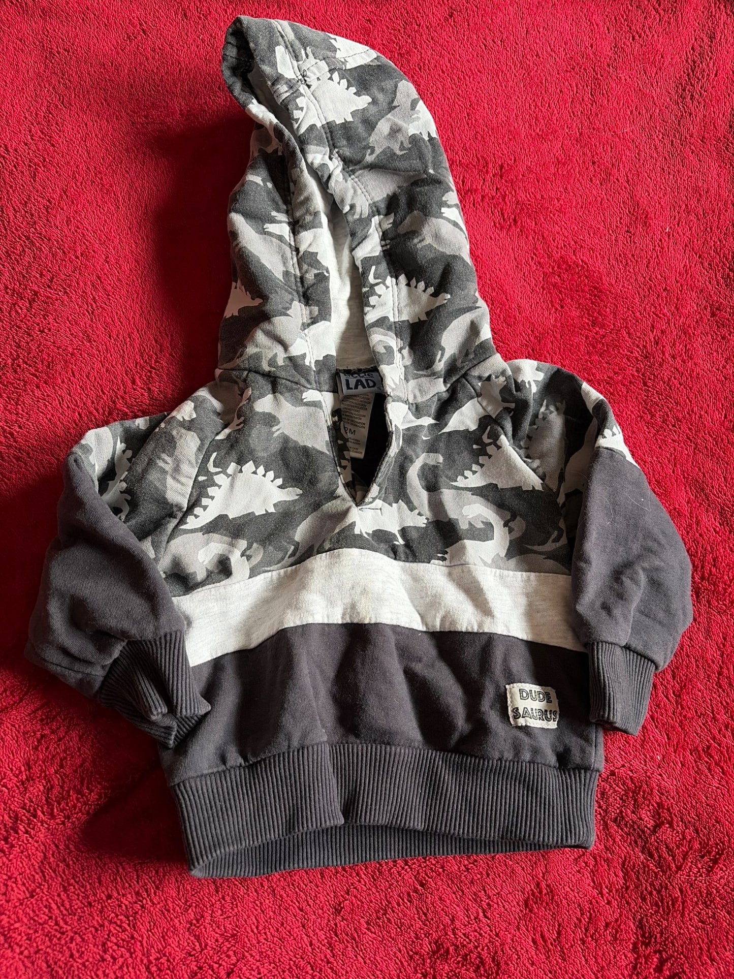 Dude-saurus Hoodie 9-12m , Kids 12 Month (9-12M)