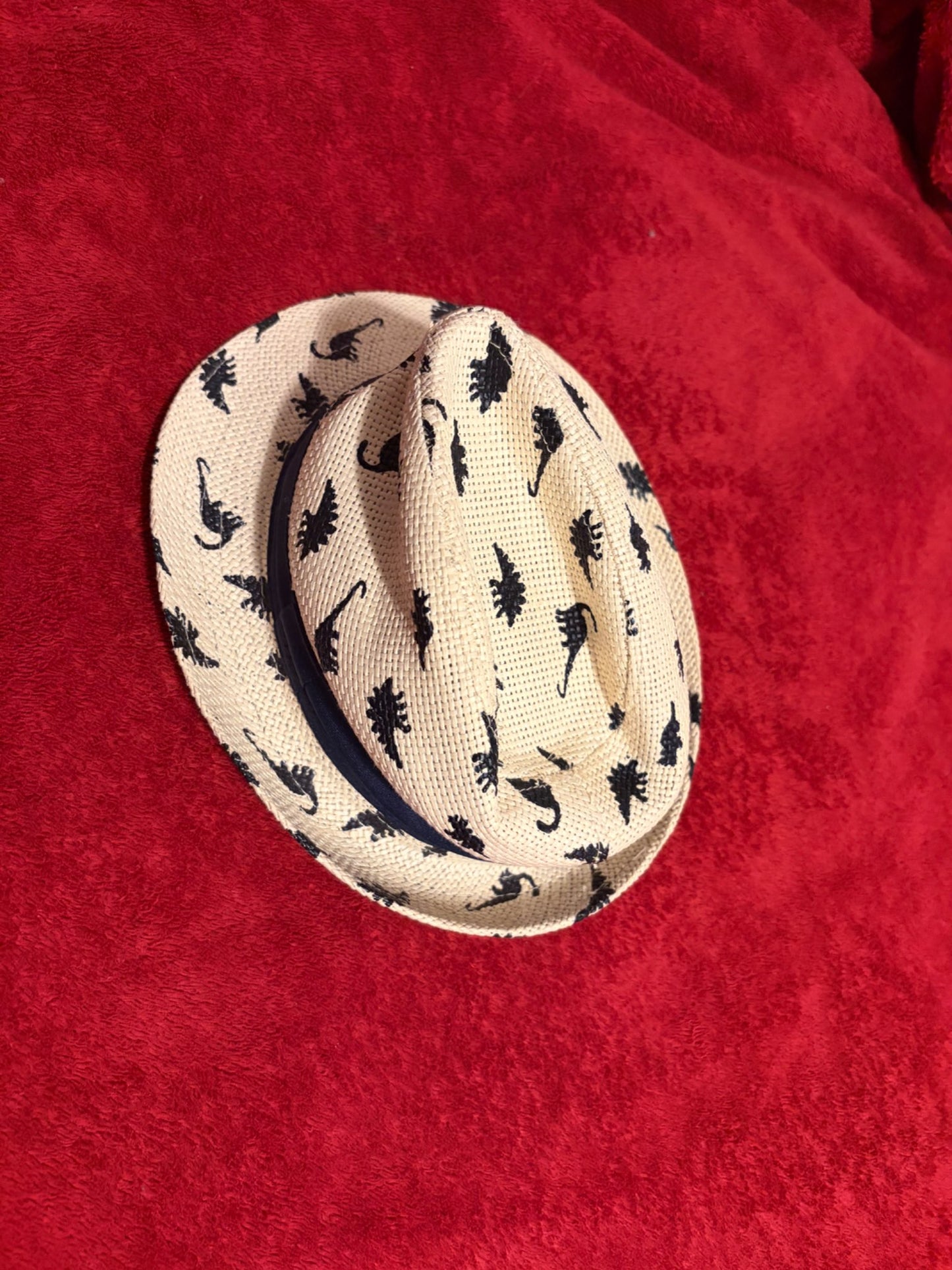 Dinosaur Fedora 0-12m