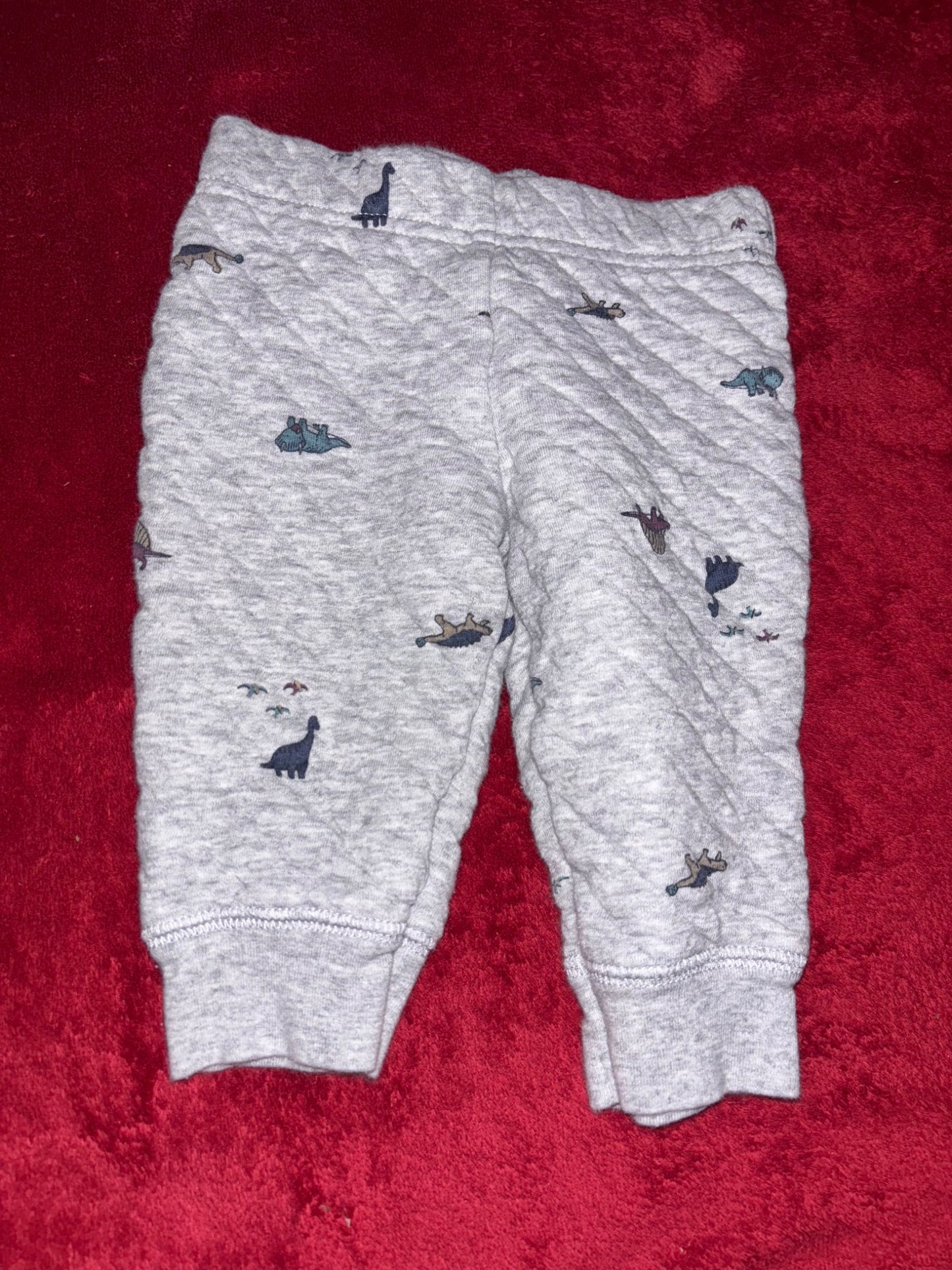 2pc Dinosaur zip hoodie and sweats outfit , Kids 6 Month (3-6M)