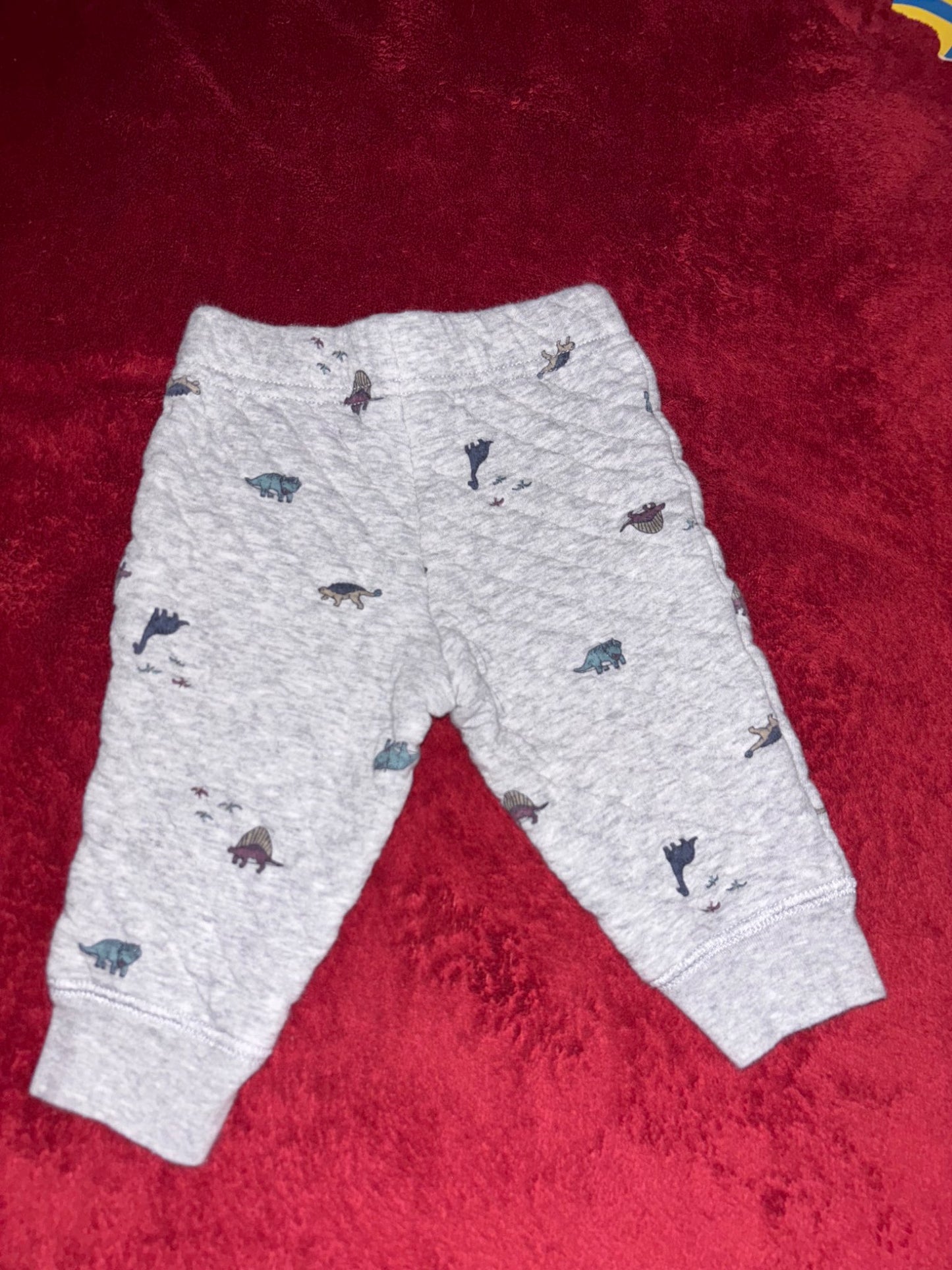 2pc Dinosaur zip hoodie and sweats outfit , Kids 6 Month (3-6M)