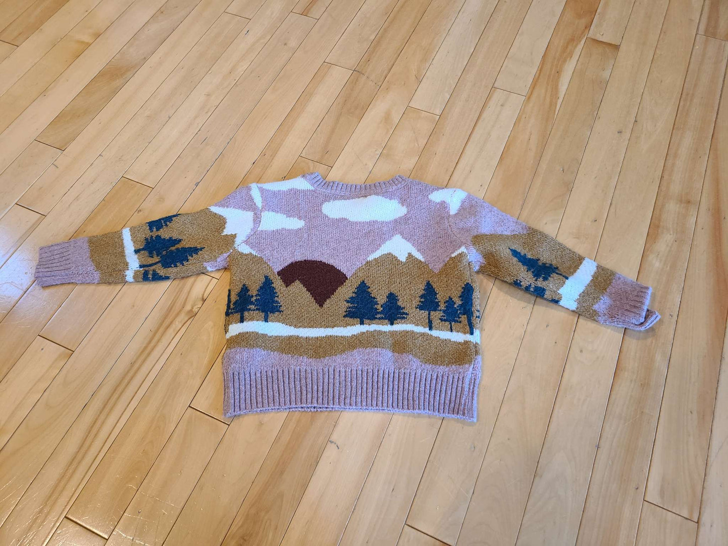 Gorgeous Fall Sweater!, Kids 4/4T
