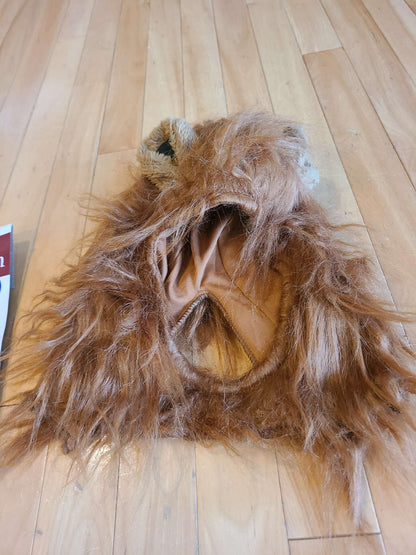 Toddler Lion Halloween costume, Kids 2T
