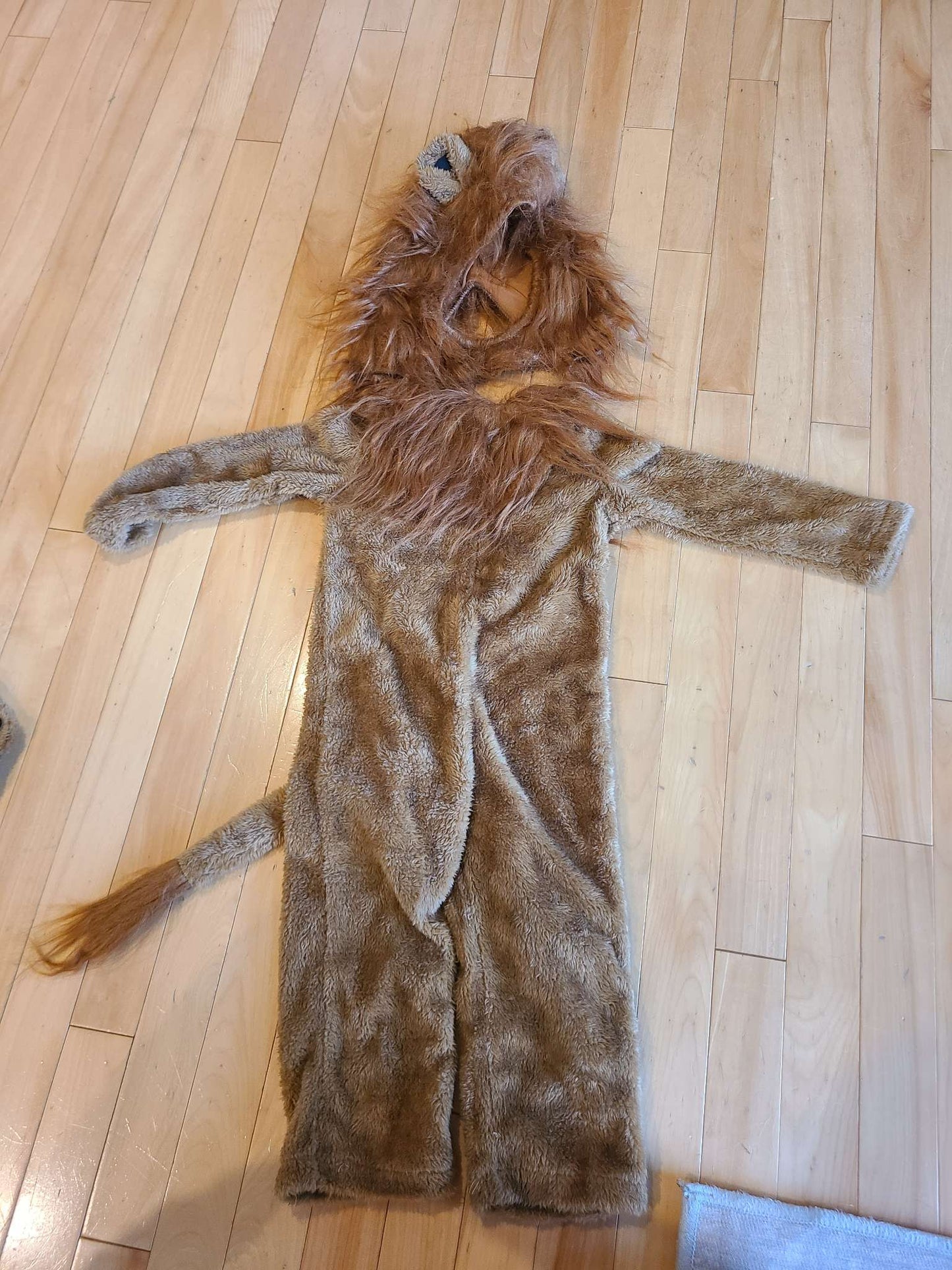 Toddler Lion Halloween costume, Kids 2T