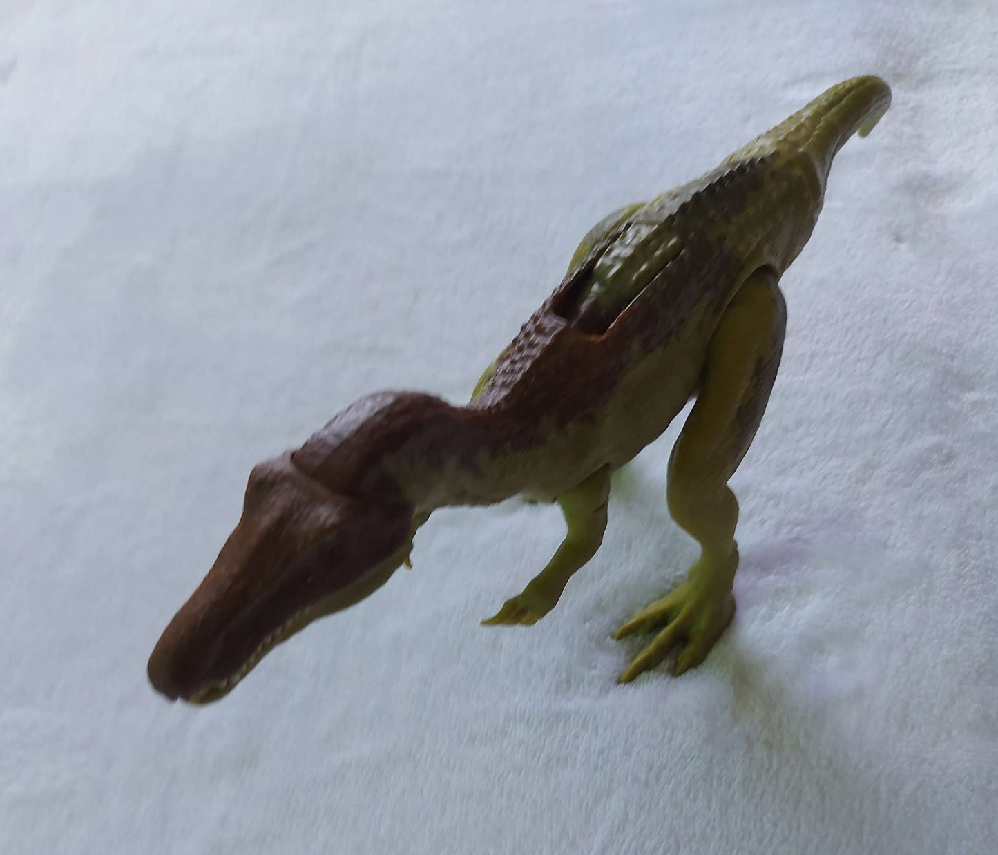 Baryonyx dinosaur