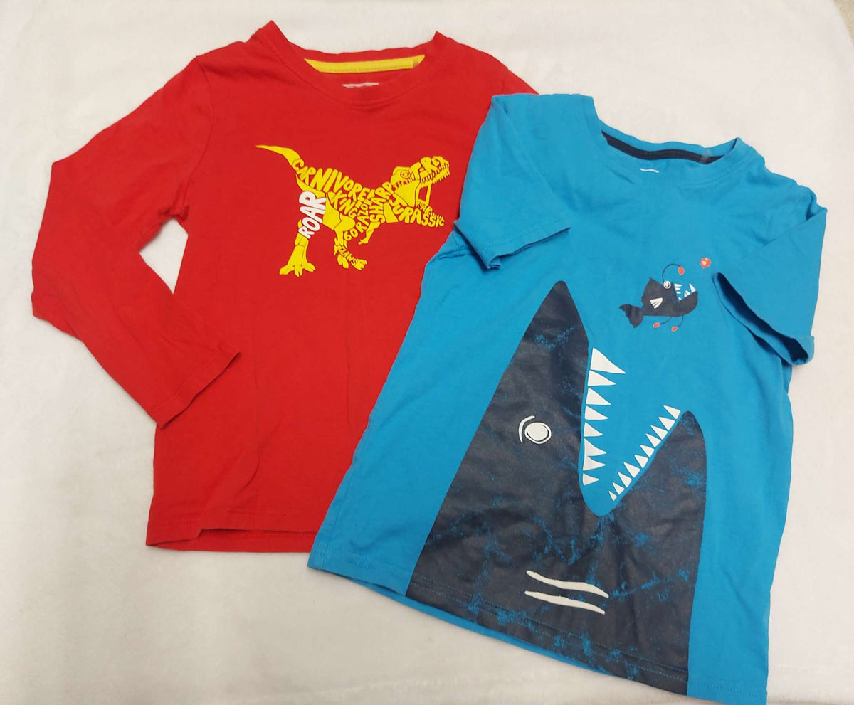 Mountain Warehouse Lot of 2 shirts, Kids 6/6X