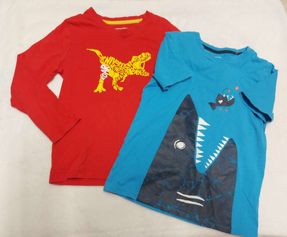 Mountain Warehouse Lot of 2 shirts, Kids 6/6X