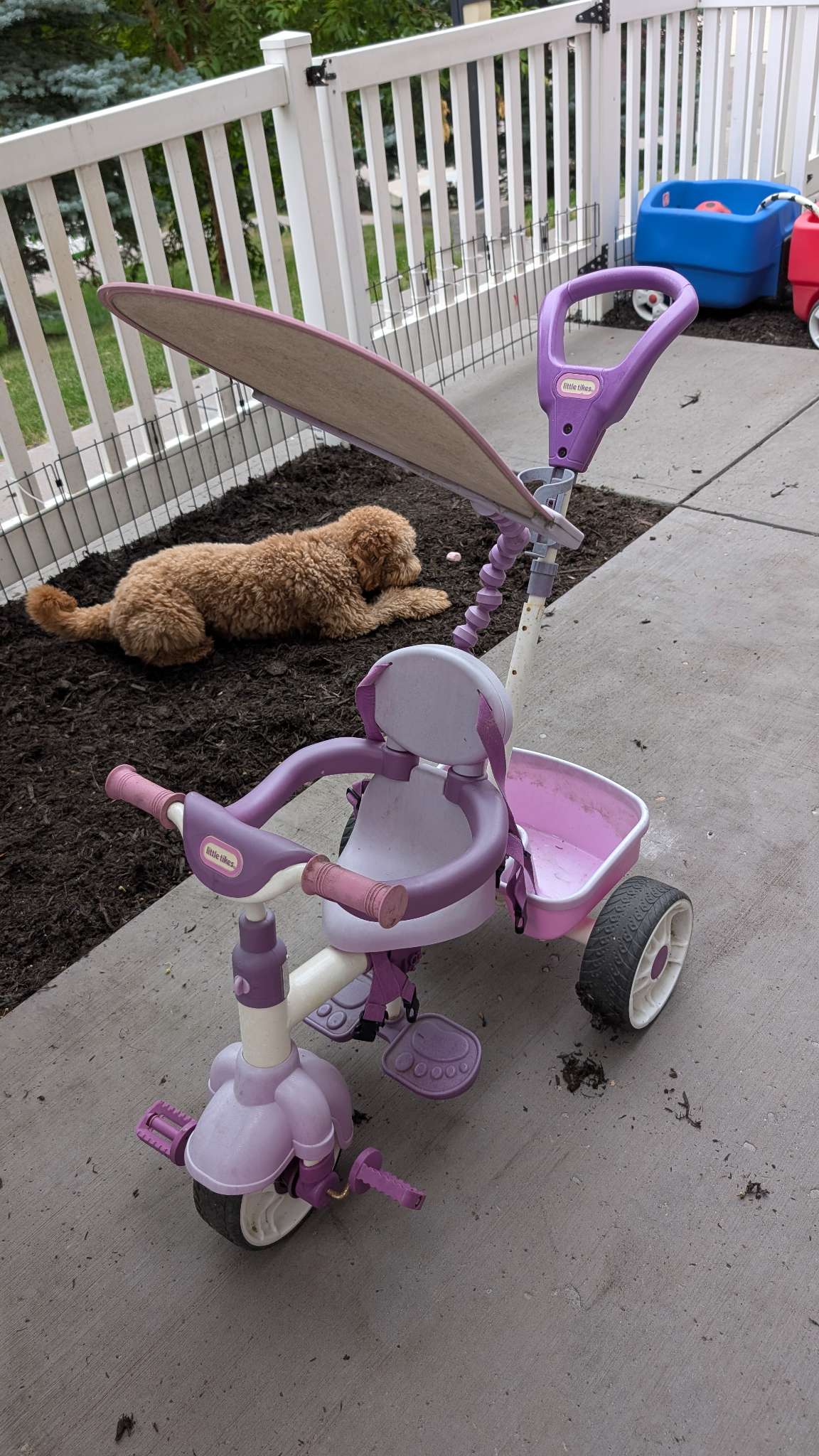 Little Tikes 4 in 1 purple tricycle (retails for $100+)