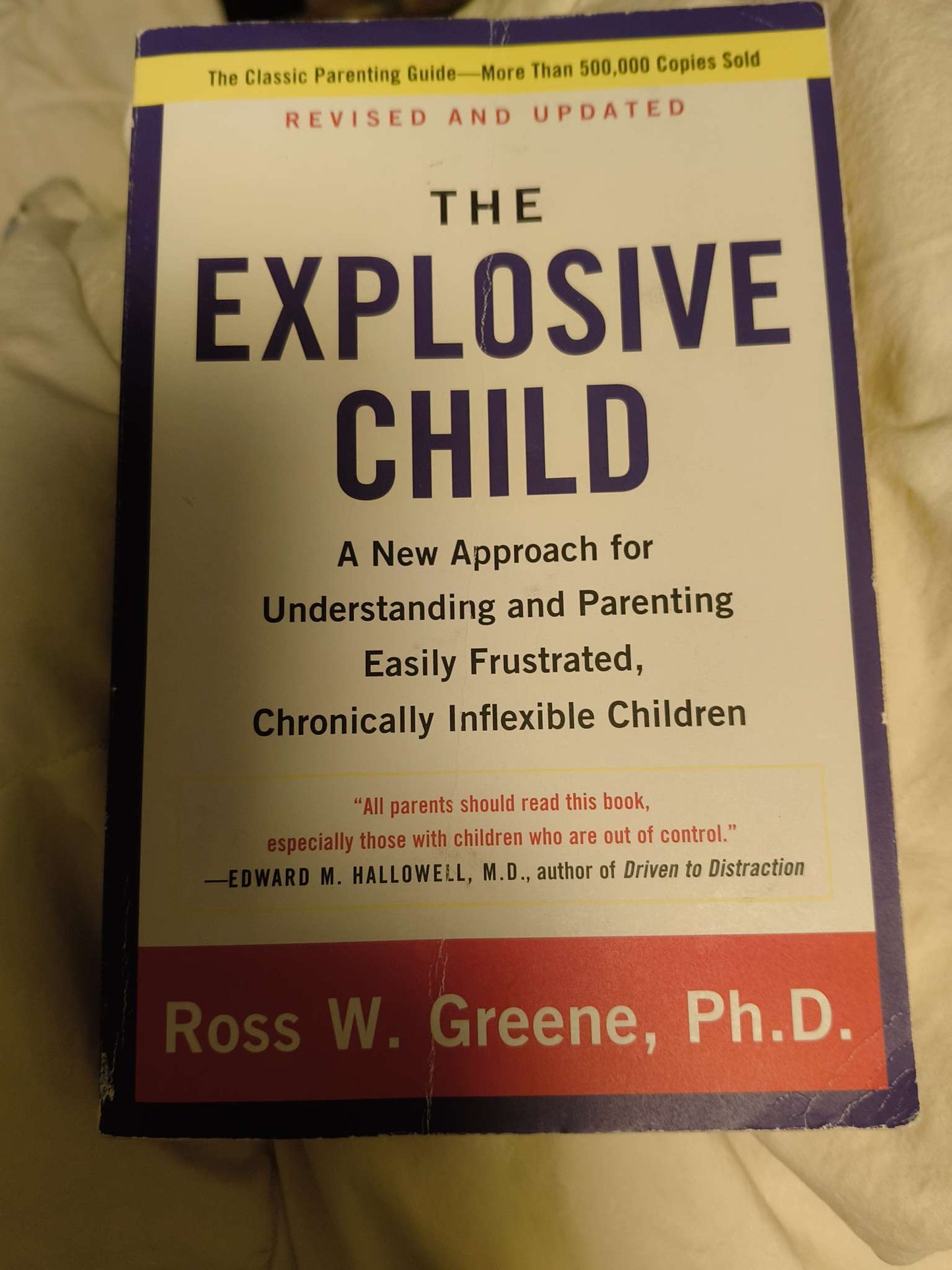 Explosive Child book