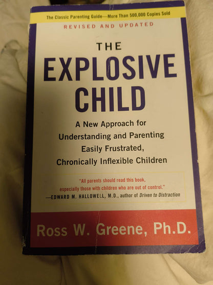 Explosive Child book