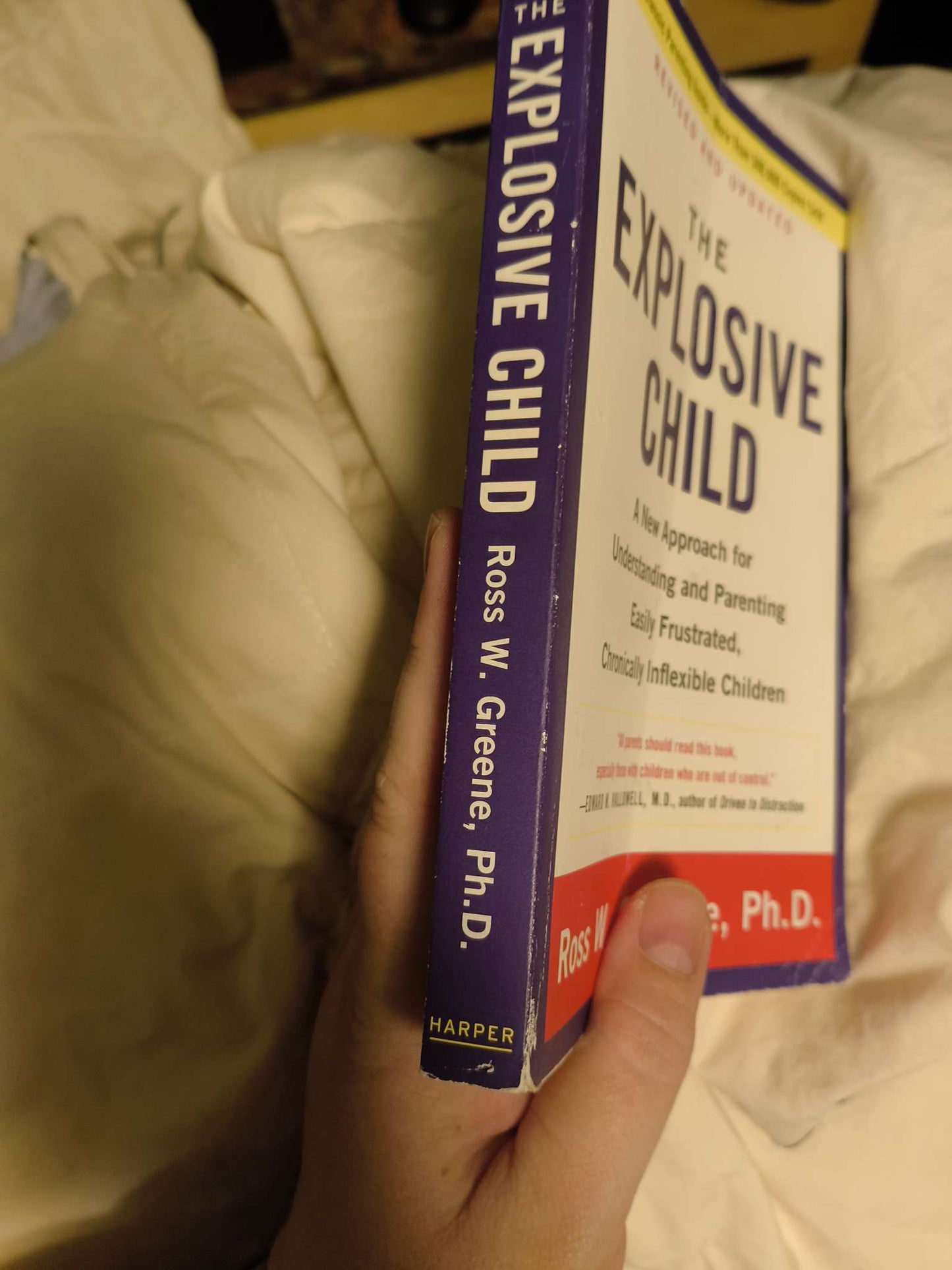 Explosive Child book