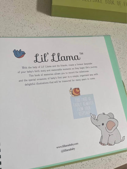 Milestone keepsake baby book