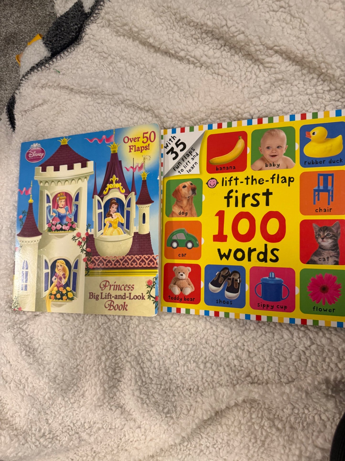 Lift the flap big book bundle