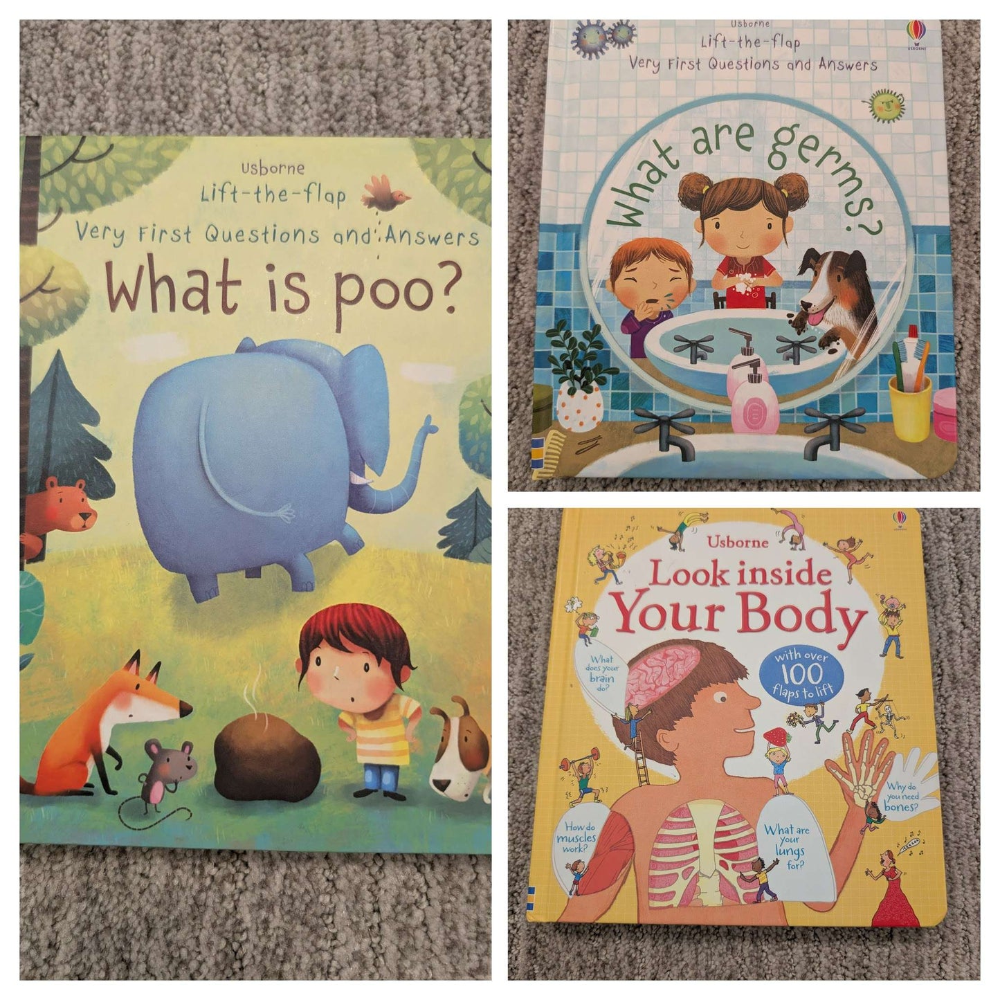 Three Usborne lift-the-flap books