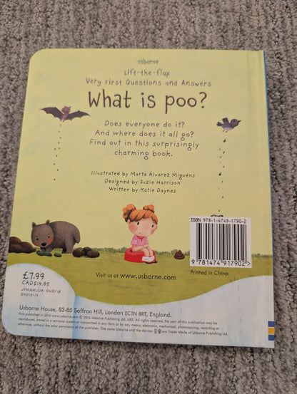 Three Usborne lift-the-flap books