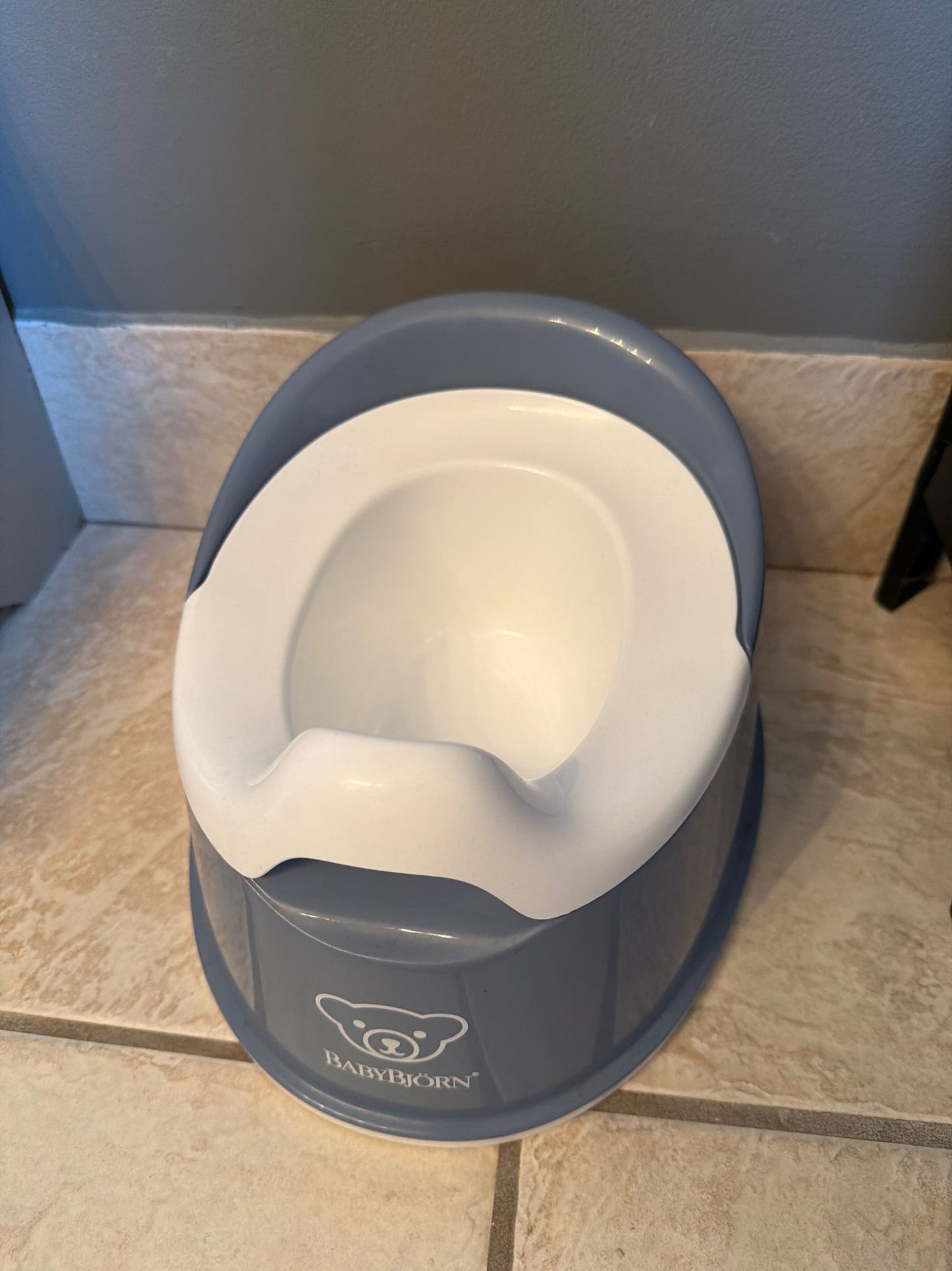 Baby Bjorn Potty