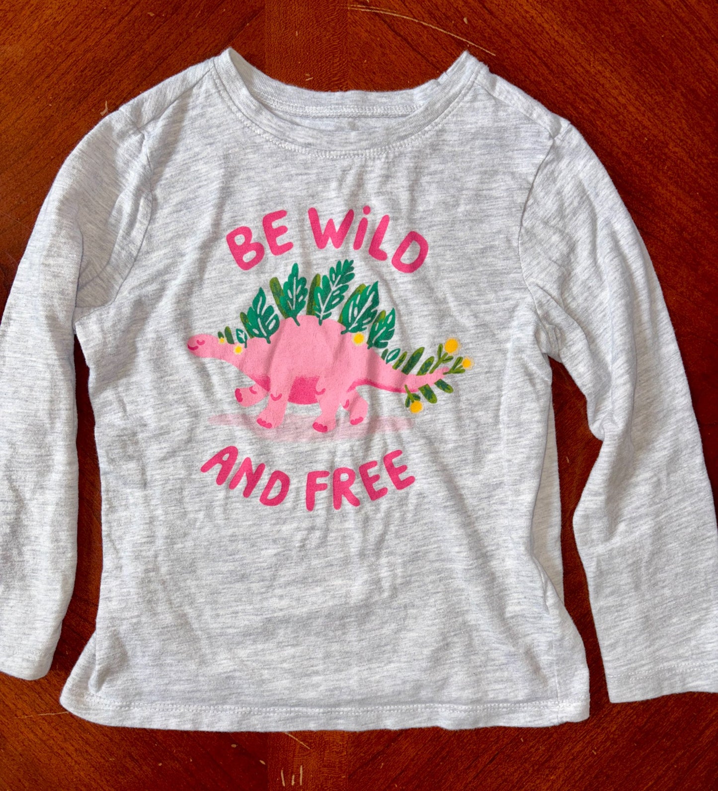 Girls Old Navy Long Sleeve Bundle 4 items (MSRP $50), Kids 5/5T