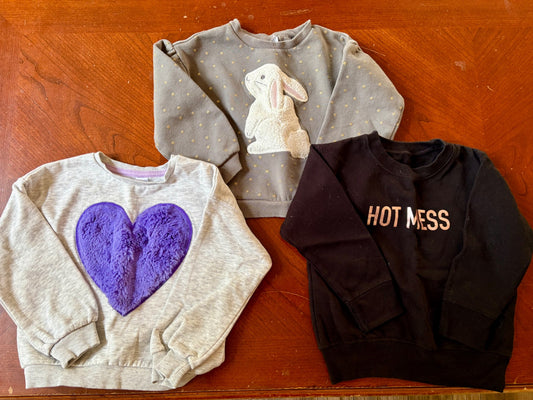 3 pcs Girls Crewneck Bundle (Retails $50), Kids 4/4T