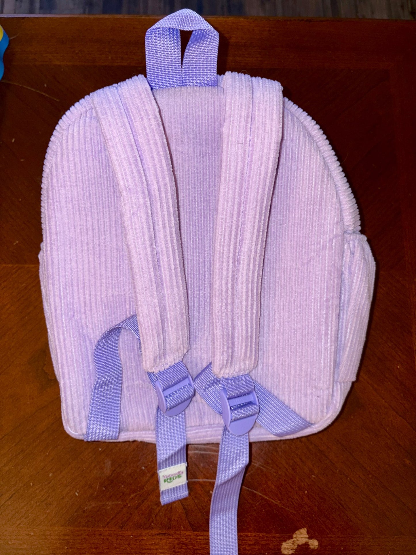 Naturally Kids Dino Backpack and Toy (Retails $45)